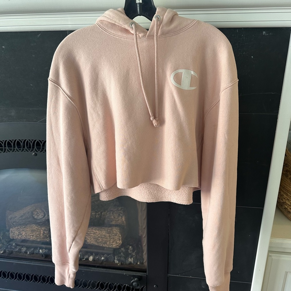 Champion Reverse Weave Cropped Hoodie